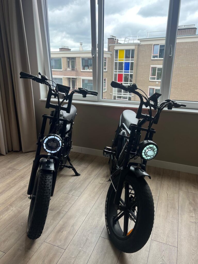 E-bike Enschede Reparaties Huren en Kopen 1 -