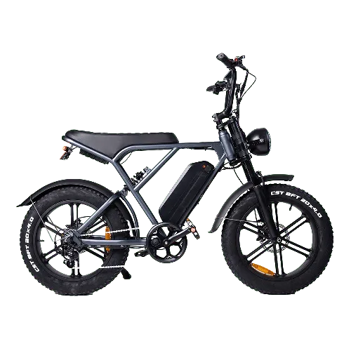 E-bike Huren in Enschede | Jouw Avontuur Begint Hier! 2 OUXI Fatbikes